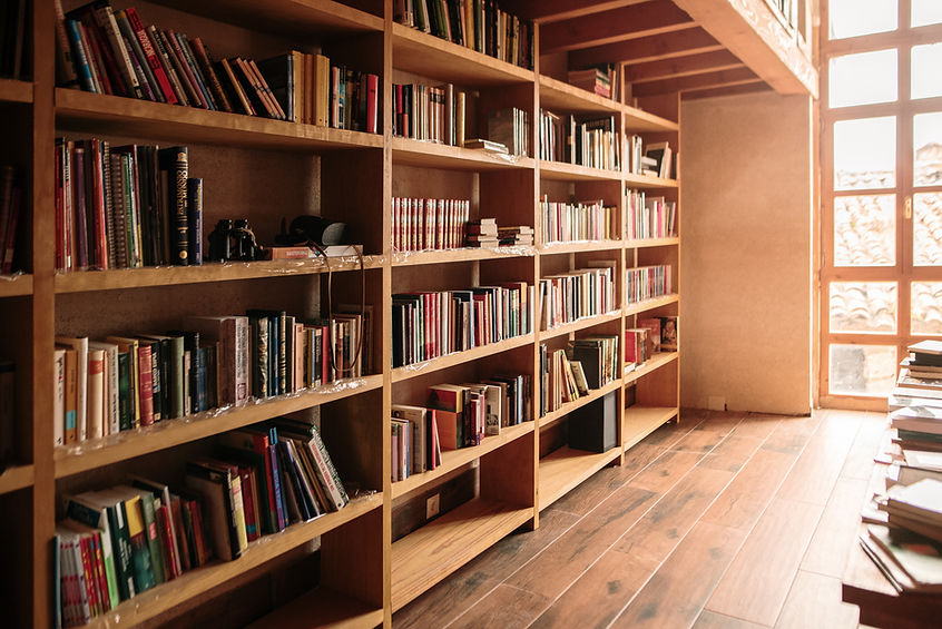 Cozy Library Interior