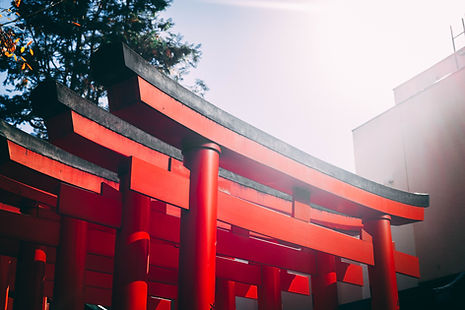 Red Torii Gates