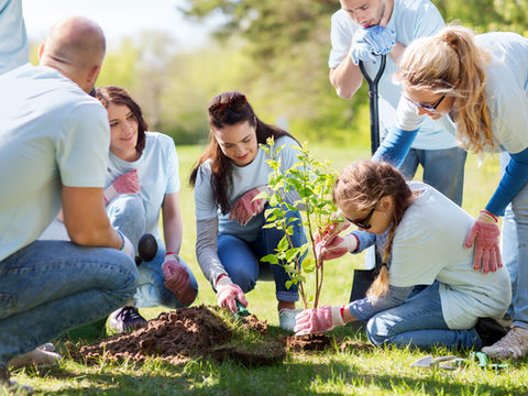 non-profit insurance