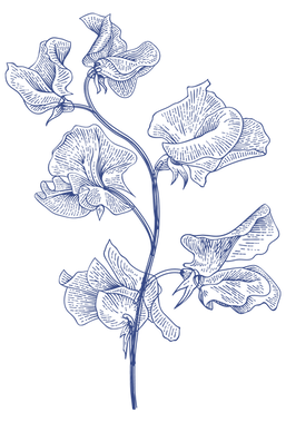 blue floral