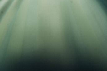 Green Light Ray