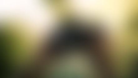 OS Captured Lens