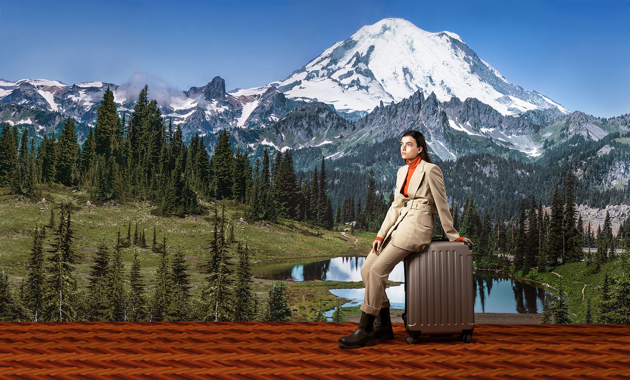 Traveler with Suitcase