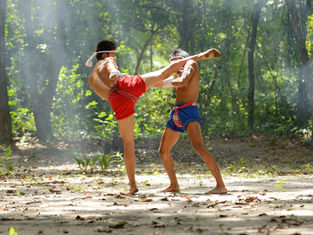 5 Unforgettable Muay Thai Fight Scenes From Tony Jaa That Changed Action Cinema