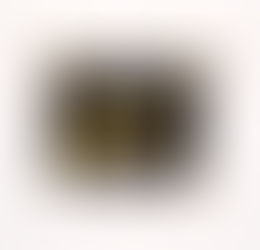 Marketing Mayhem: A Toolbox of Techniques to Sell (Almost) Anything