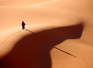 Desert Walker