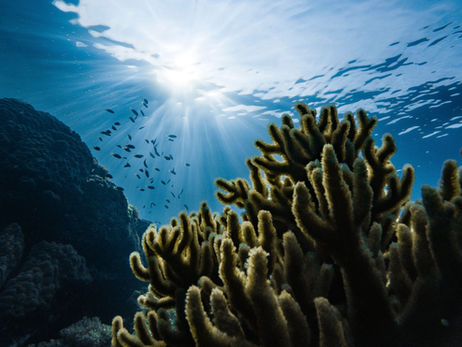 The Best Underwater Cameras of 2024