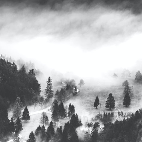 Stop Fighting Winter: What Your Body Actually Needs From A TCM Perspective