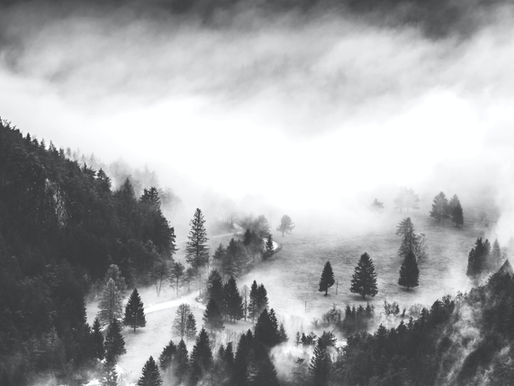 Vale & Stone: Two Detectives. One Very Odd Town.