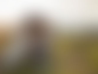 A mother crouches next to her child in a field as they blow bubbles together.