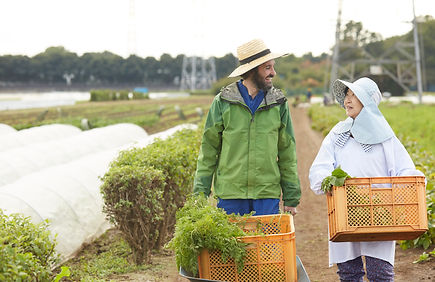 ■外国人に関する申請