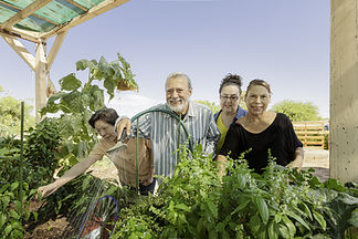 Community Garden