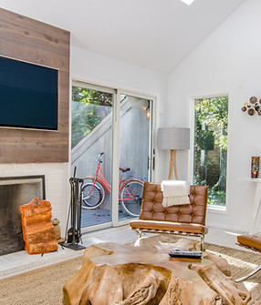 Modern Living Room
