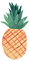 Pineapple Properties