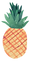 Pineapple Properties