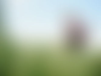 AgroNews #15 - As principais notícias do AgroNegócio