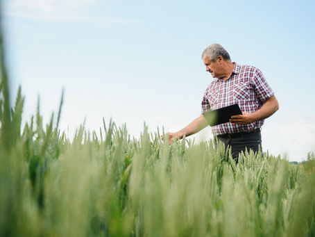 AgroNews #15 - As principais notícias do AgroNegócio