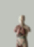 Anatomical Model