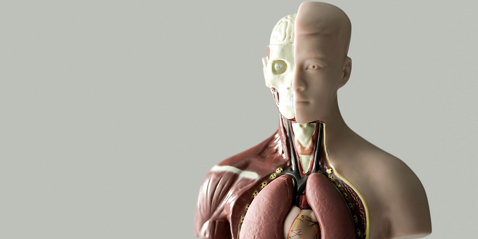 TED Circle: Our Bodies
