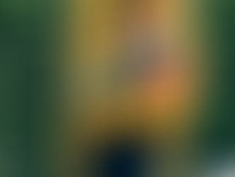 Guida ai regali di Natale ‘24