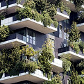 Vertical Garden Building