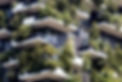 Urban Garden