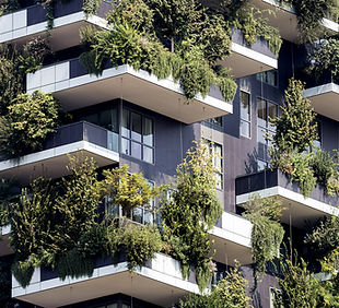 Vertical Garden Building