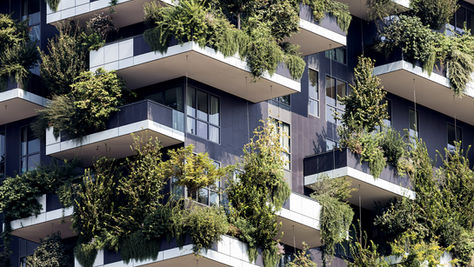 How the RBA Impacts Investment Properties: What Property Investors Need to Know - Gold Coast Property Manager