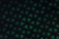 Green Pattern