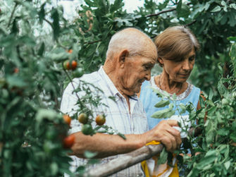 Summer Foods to Eat and Enjoy, Includes Summer Recipe Ideas