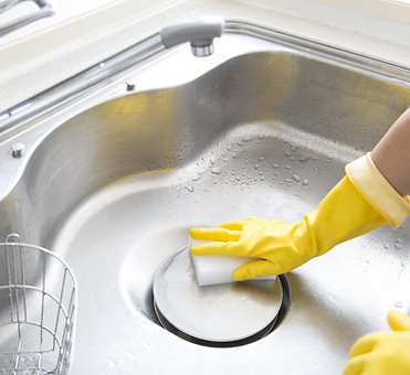 Scrubbing the Sink