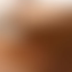 What We're Following Today March 31, 2020