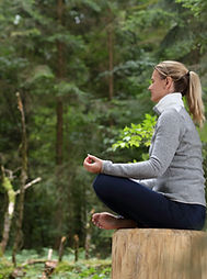 Meditation in a forest