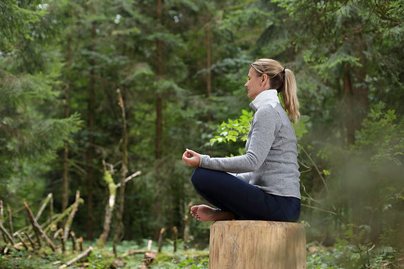 Meditation in a forest