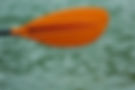 Orange paddle in water