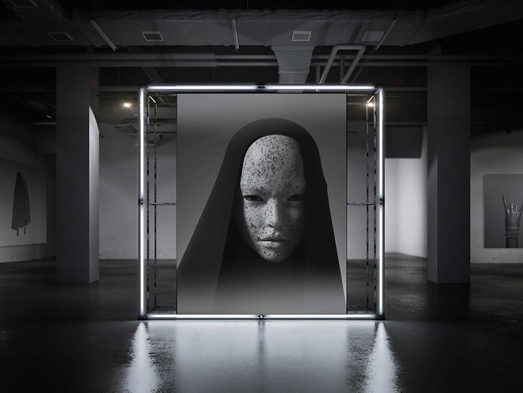 Modern Art Display