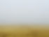 Misty Football Field