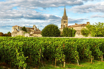 Vignoble devant une église