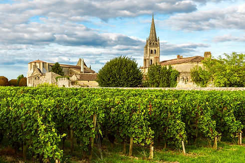 Vineyard in front of a Church