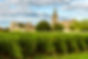 Vineyard in front of a Church