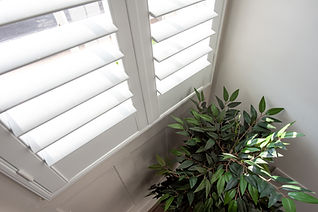 A view of a white window shutter and potted plant