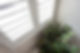 A view of a white window shutter and potted plant