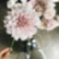 Dahlia