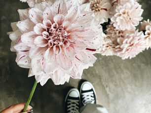 Langfristige Resilienz aufbauen: Nachhaltige Gewohnheiten für Stressmanagement