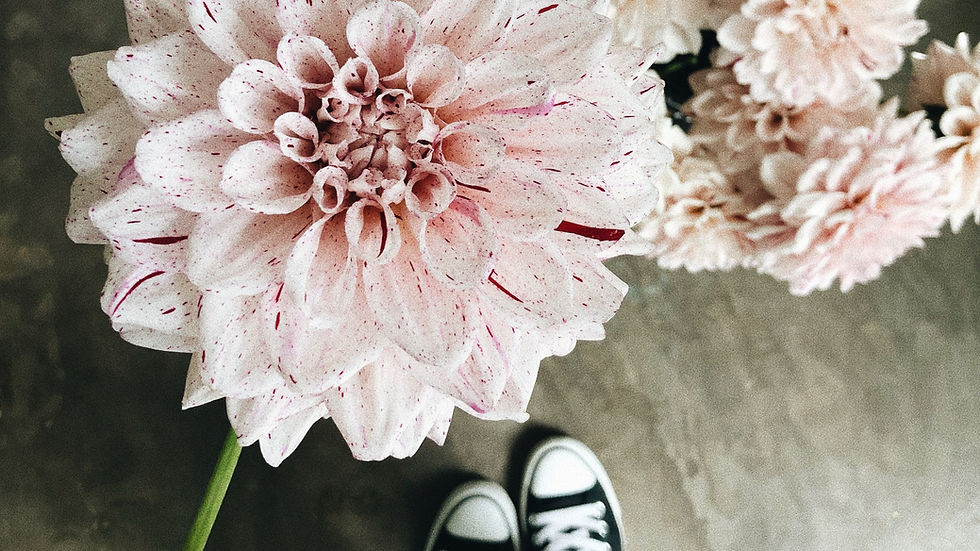 September wedding flowers in Vancouver | Petal & Bulb