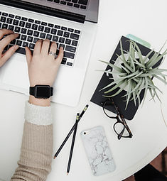 Laptop and Plant