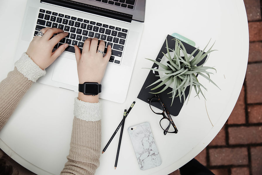 Ordinateur portable et plante