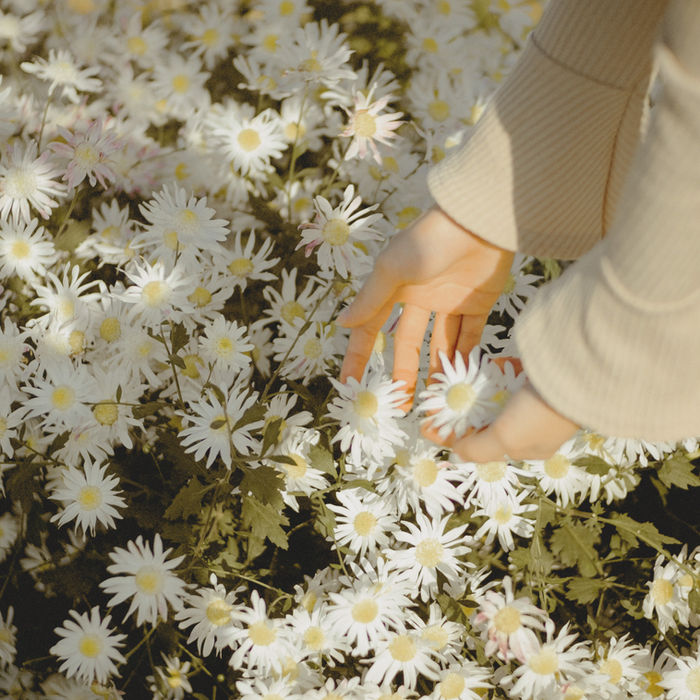 Tapis California