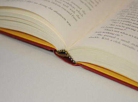 Abra o livro.