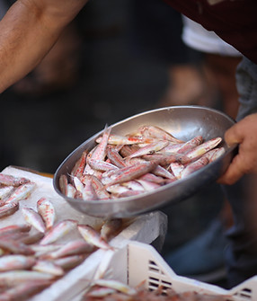 Fish Market Scene